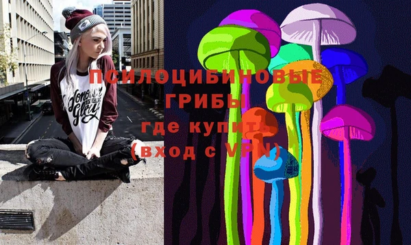PSILOCYBIN Белоозёрский
