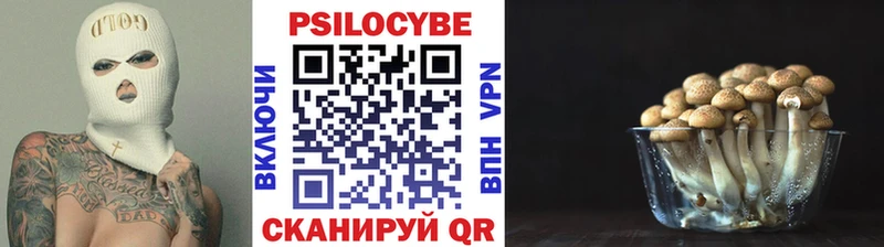 Псилоцибиновые грибы прущие грибы Торопец